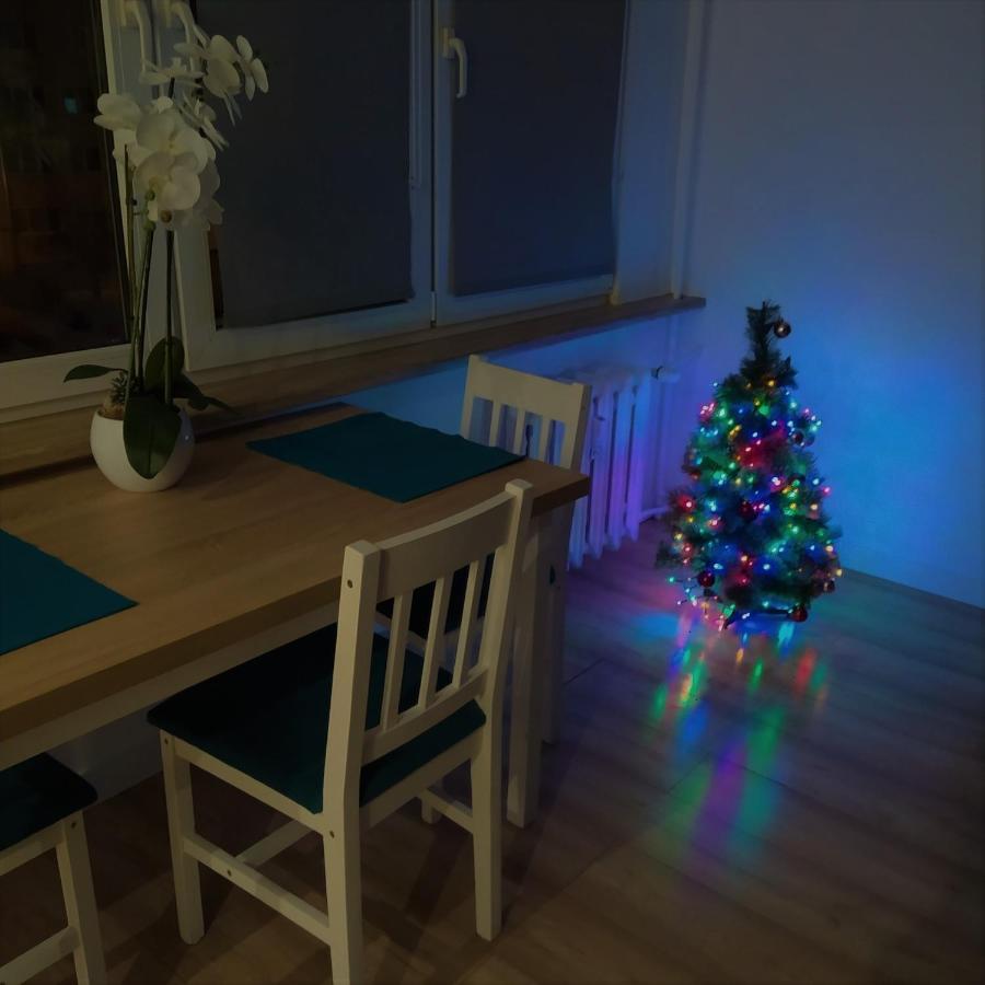 Apartament Torun Dreams エクステリア 写真